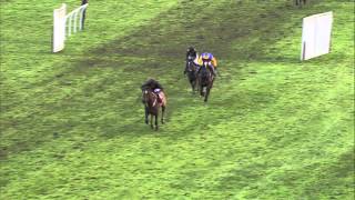 Have you seen anything like it Amazing horse race at Wincanton [upl. by Ahsaei]