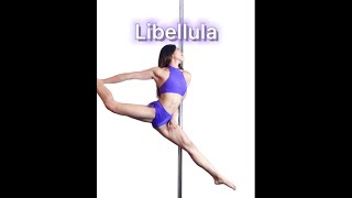 Libellula  Pole Dance Tutorial [upl. by Pam]