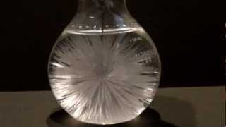 hot ice sodium acetate beautiful science experiment [upl. by Floro]