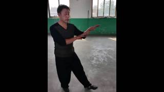 Song Style Xingyi Beng Quan 宋氏形意崩拳 [upl. by Kimmel929]