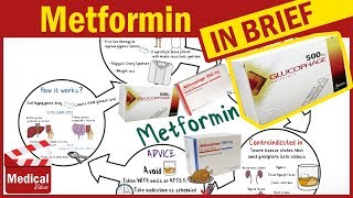 Metformin 500 mg  Glucophage  Uses Dosage Side Effects Contraindications and Some Advice [upl. by Firahs682]