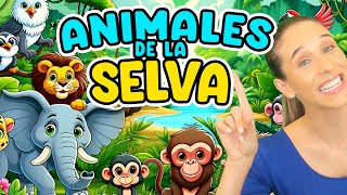 ¡Descubre el Mundo de los Animales Salvajes en Español  Sonidos y Aprendizaje para Bebés y Niños [upl. by Homovec]