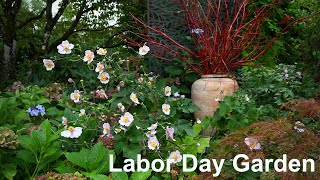 Labor Day Garden [upl. by Ronyam]