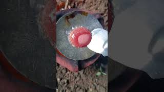 Fry pan cake mini cooking short video trending viral video [upl. by Elman]