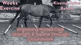 The Pessoa Lunging System A Comprehensive Guide to Improving Your Horses Topline and Balance [upl. by Aissatsana]