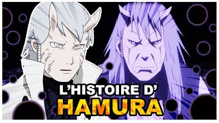 Histoire de Hamura Ôtsutsuki Naruto [upl. by Flann]