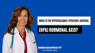 What is the HypothalamicPituitaryAdrenal HPA Hormonal Axis [upl. by Ervin]