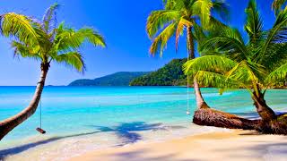 4k UHD Tropical Beach amp Palm Trees on a Island Ocean Sounds Ocean Waves White Noise for Sleeping [upl. by Hegyera]