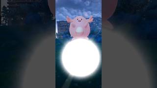 Pokemon GO  Ducklett Scraggy Sableye Chansey  2024 [upl. by Maryl322]