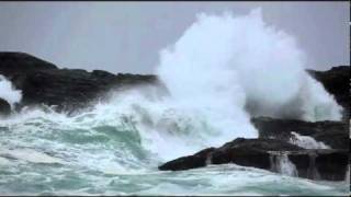 Storm Watching in Tofino BC  The Wickaninnish Inn [upl. by Reprah626]