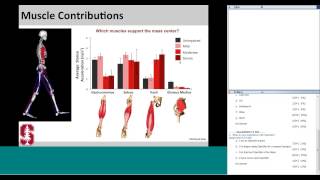 Using OpenSim to explore the mechanics of pathological gait patterns [upl. by Anjali]