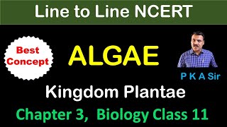 Chapter 3 Kingdom Plantae  Alage  class 11 biology chapter 3  Line to line biology [upl. by Ludvig]