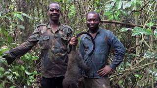 Histoire dune chasse  Cameroun [upl. by Thorlay924]