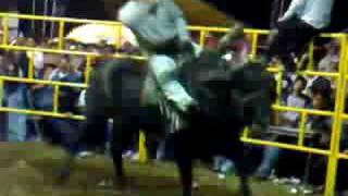 LATIGO NEGRO VS RUSO DE ZAPATA [upl. by Budworth]