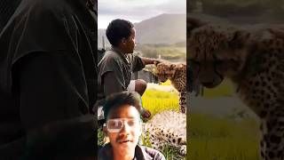 Aek chota bachha🧍ne CHITA🐅se milaya hatyoutubeshorts funny mrsbeast shortvideo shorts youtube [upl. by Dhiman]