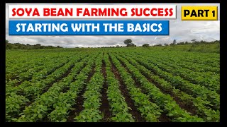 All About Soya BeansHow We Plan amp Prepared for this Years Crop Soya Bean Farming Basics Part 1 [upl. by Jadwiga306]