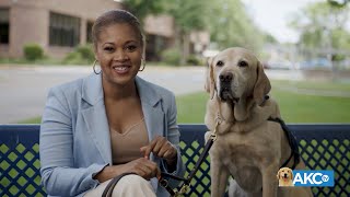 Sunny Steals the Show on AKC Good Dog TV [upl. by Llatsyrc]