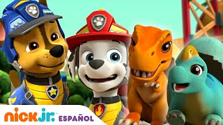 PAW Patrol Patrulla de cachorros  Los cachorros y los huevos robados  Nick Jr en Español [upl. by Uriel51]