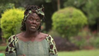 Wangari Maathai amp The Green Belt Movement [upl. by Gavriella]