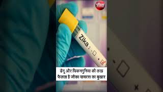 Zika Virus Dengue और Chikungunya की तरह फैलता है Zika Virus का बुखार  जीका वायरस zikavirus [upl. by Dympha]