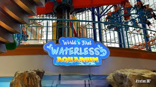 Worlds First Waterless Aquarium  Unique No Water Aquarium Attraction [upl. by Noiramaj343]