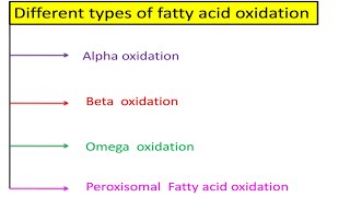 Types of Fatty Acid Oxidation in Biochemistry AlphaBetaOmega amp Peroxisomal Fatty Acid oxidations [upl. by Oiruam]