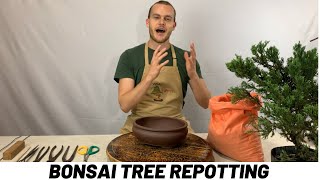 Repotting a Bonsai Tree Tutorial The Bonsai Supply [upl. by Oilalue209]