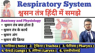 Respiratory System श्वसन तंत्र  Respiratory Tract  Lungs  Bronchi  Trachea  Alveoli  Larynx [upl. by Krishnah]