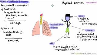 First line of Defence  Physical amp chemical barriers [upl. by Annai907]
