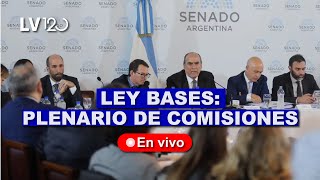 EN VIVO LEY BASES I CONTINÚA EL DEBATE EN EL SENADO  PLENARIO DE COMISIONES [upl. by Ellerrehc808]