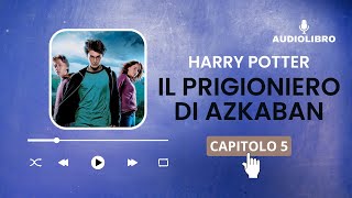 5 Harry Potter e IL PRIGIONIERO DI AZKABAN volume 3 Audiolibro  IL DISSENNATORE [upl. by Moureaux681]