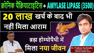 Chronic Pancreatitis treatment in Hindi  Amylase lipase treatment  Best treatment for pancreatitis [upl. by Enelaehs]