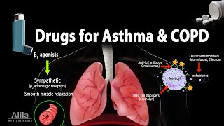 Pharmacology Drugs for Asthma and COPD Animation [upl. by Care]