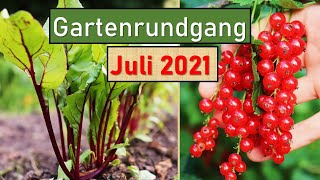 Gartenrundgang Juli 2021 🌱😍 Tomaten ausgeizen amp anbinden 🍅 Ernten im Gemüsegarten 👨‍🌾🥕 Hochbeete uvm [upl. by Heffron]