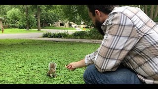 Peapod The Squirrel Pt 2 [upl. by Amend]