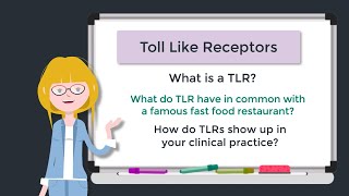 Toll Like Receptors Immunology Tutorial [upl. by Nylhsa]