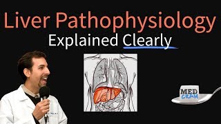 Liver Explained Clearly  Pathophysiology LFTs Hepatic Diseases [upl. by Lala]