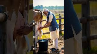 When Narendra Modi gets milk from cows Narendra Modi farming animatedcartoon [upl. by Eelyk832]