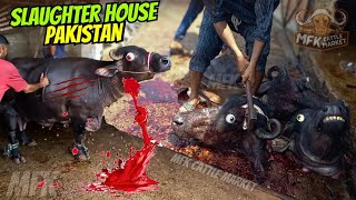 Anari Kasai 2024  Slaughter house bhains colony full exposed  Biggest Slaughter House Pakistan 😱 [upl. by Awhsoj989]