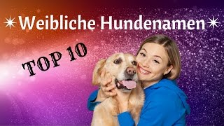 Die Top 10 Weiblichen Hundenamen  Beliebte und Süße Namen für Deine Hundedame ❤ [upl. by Joli]