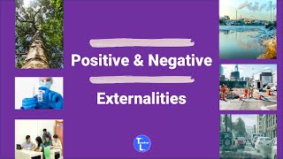 Positive And Negative Externalities Economics Lesson for Students [upl. by Sou]