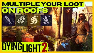 Dying Light 2 Farm Roof Groves with Multiple Loot Patched with 16 [upl. by Wesa585]