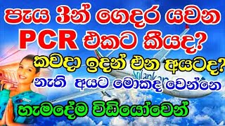 How much they charge in Sri Lankaairport Katunayake l When we can go home directly [upl. by Alyos]