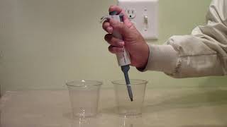 How to use a micropipette [upl. by Herrah]