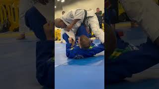 Mestré André “Dede” Pederneiras teaches Pulling Half Guard to Leg Scissor and Tripod Sweep bjj [upl. by Amoreta842]