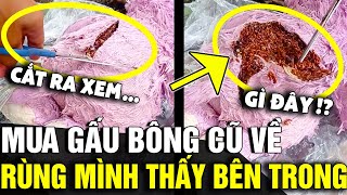 Mua THÚ BÔNG CŨ về dùng cô gái rùng mình khi tưởng TRỨNG GẤU BÔNG bên trong  Tin Nhanh 3 Phút [upl. by Nainatrad]