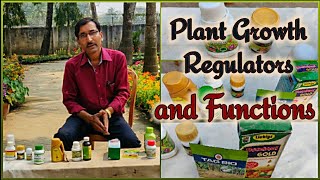 What are Plant Growth Regulators and what are their functions [upl. by Cocke]