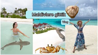 MALDIVLER VLOG  KÃ–PEKBALIKLARIYLA YÃœZDÃœK  Ä°LK DEFA MALDIVLERE GÄ°TTÄ°K  BALAYI OTELÄ°NDE KALDIK [upl. by Docila]