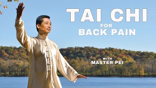 Tai Chi Secrets for Back Pain Revealed  Beginner Routine [upl. by Brackely]