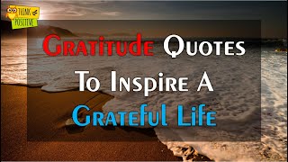 Gratitude Quotes To Inspire a Grateful Life  Good Quotes About Life  Life Changing Quotes [upl. by Hausmann]